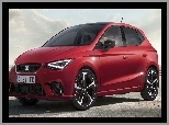 2021, Seat Ibiza 5, 5 generacja