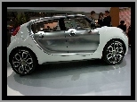 Wystawa, Citroen C-Cactus